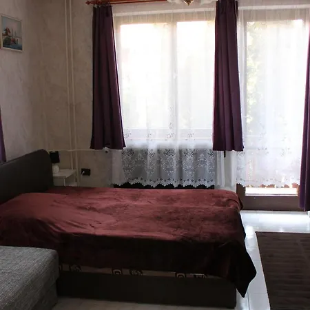 Ibolya Apartment *